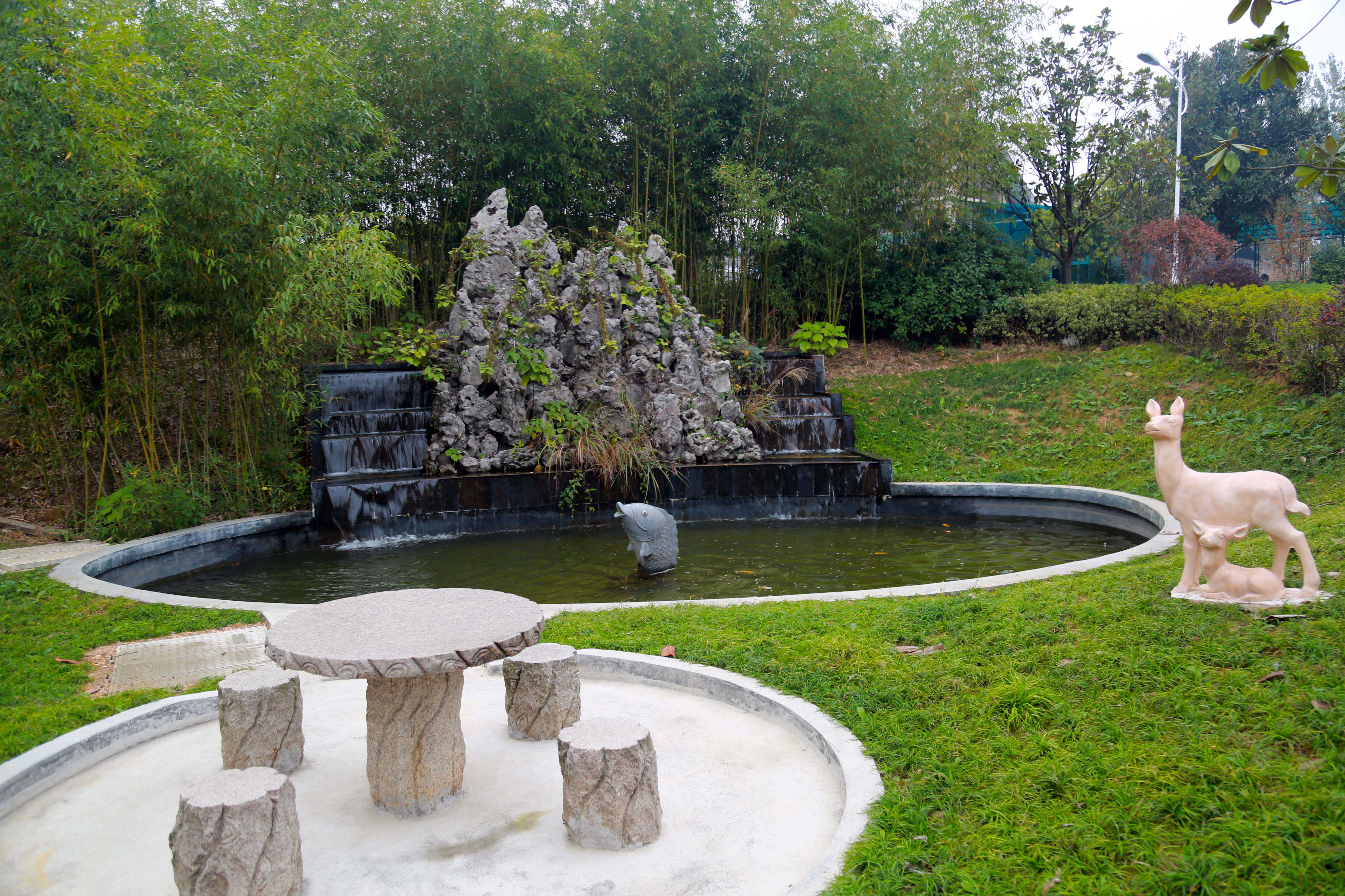 1588040587539035.jpg 1588040587539035.jpg