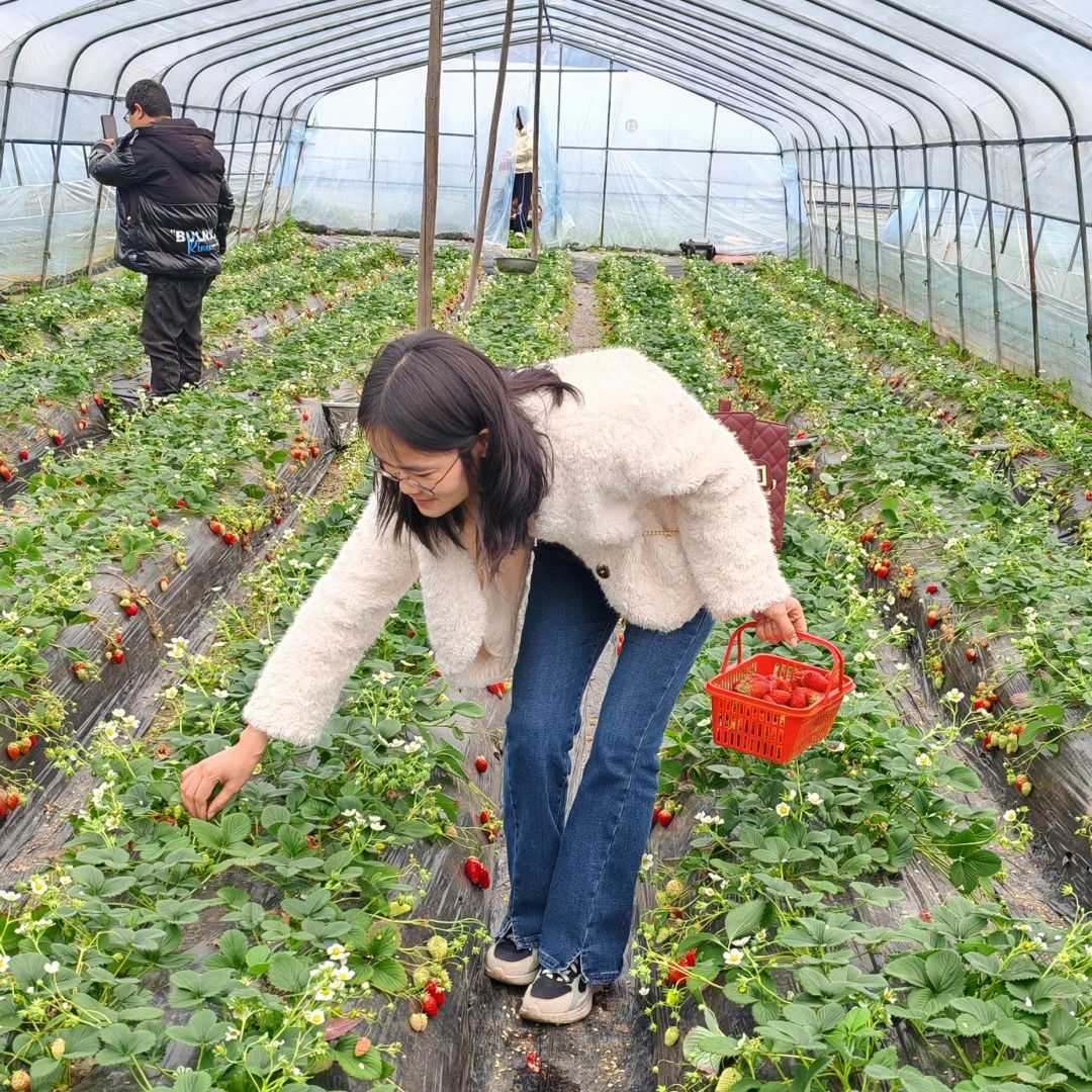 1741568037512053.jpg 1741568037512053.jpg